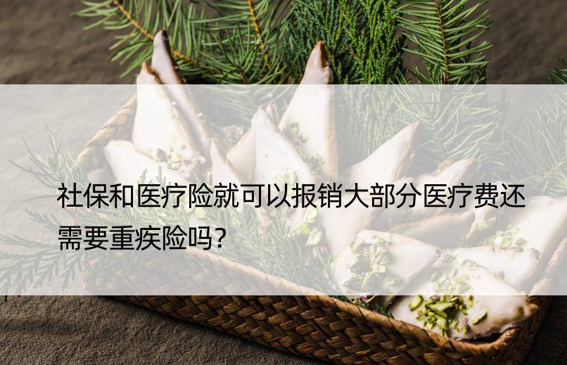 社保和医疗险就可以报销大部分医疗费还需要重疾险吗？