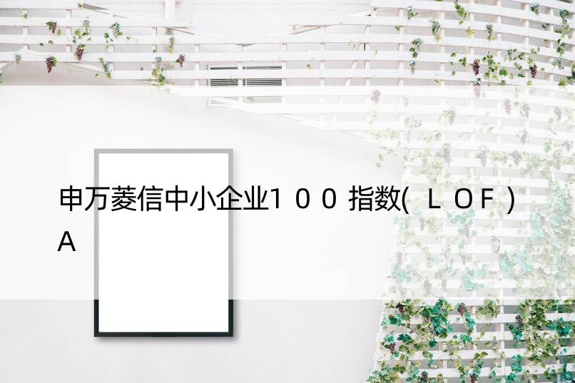 申万菱信中小企业100指数(LOF)A