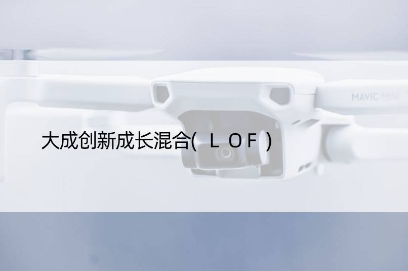 大成创新成长混合(LOF)