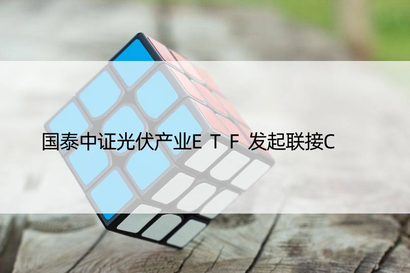 国泰中证光伏产业ETF发起联接C