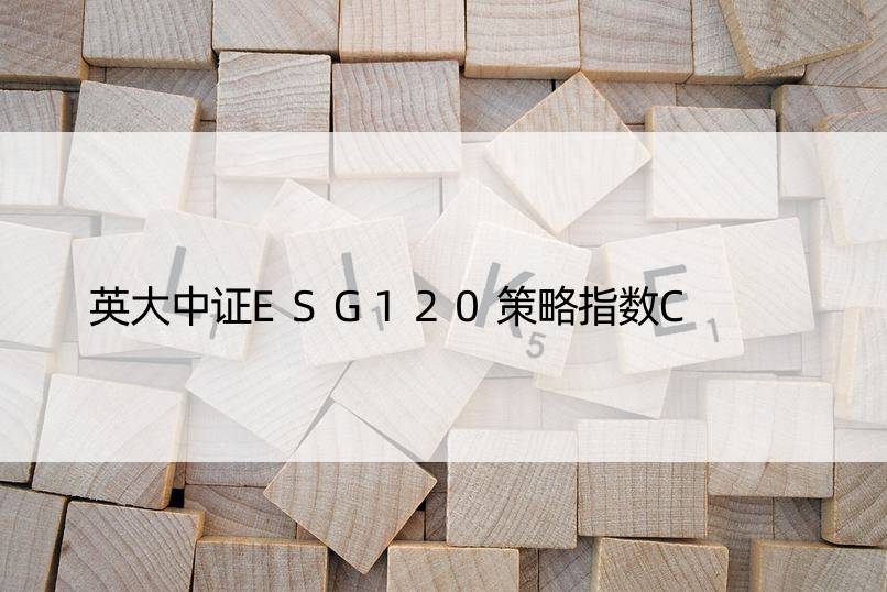 英大中证ESG120策略指数C