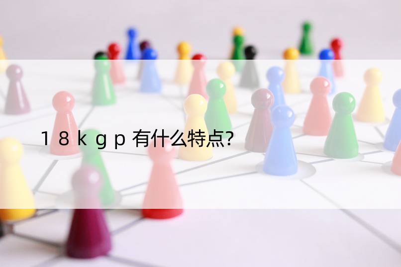 18kgp有什么特点？