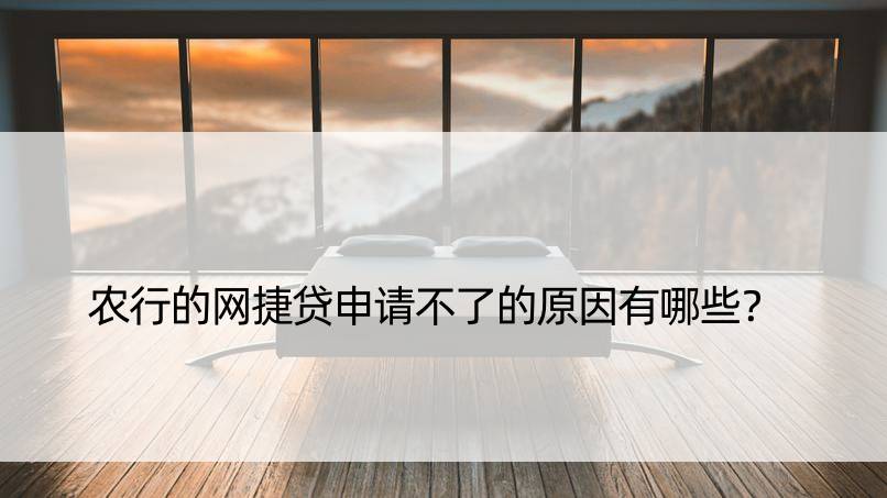 农行的网捷贷申请不了的原因有哪些？