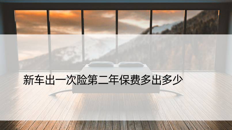 新车出一次险第二年保费多出多少