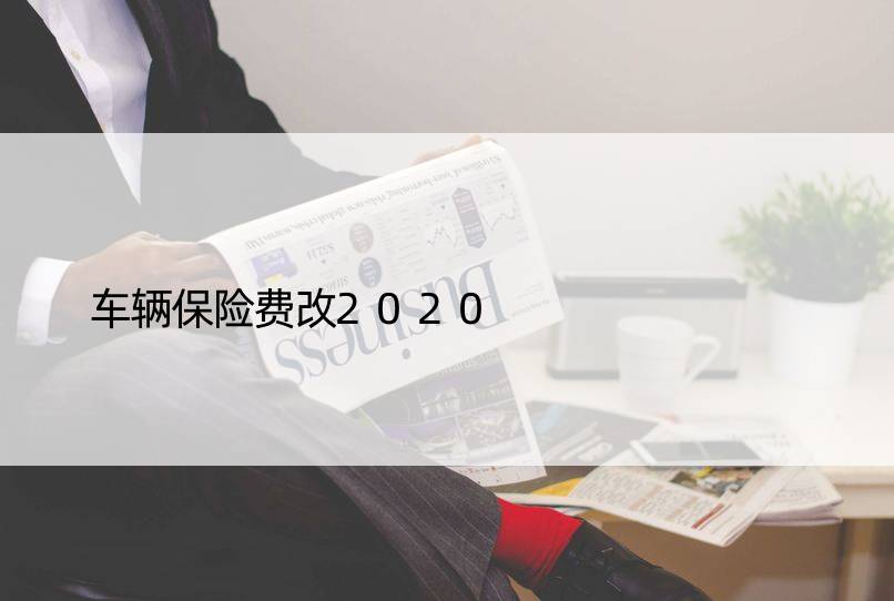 车辆保险费改2020