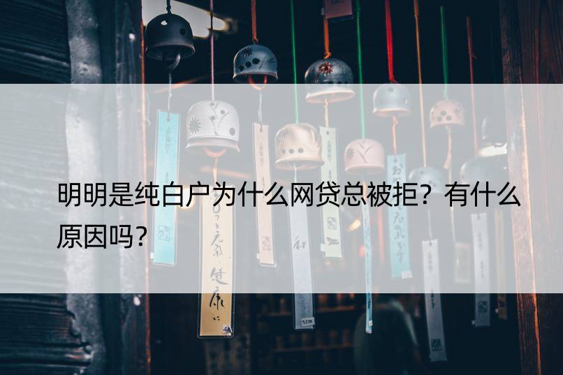 明明是纯白户为什么网贷总被拒？有什么原因吗？