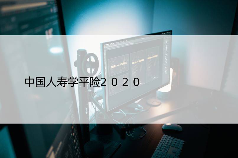 中国人寿学平险2020