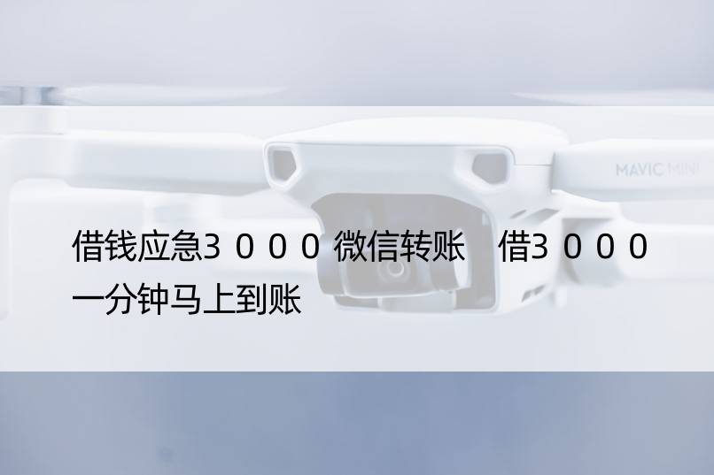 借钱应急3000微信转账 借3000一分钟马上到账