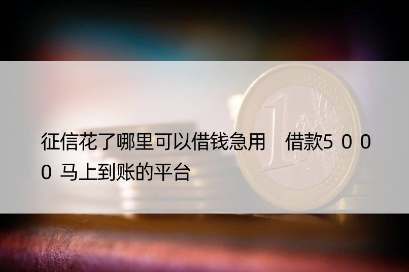 征信花了哪里可以借钱急用 借款5000马上到账的平台