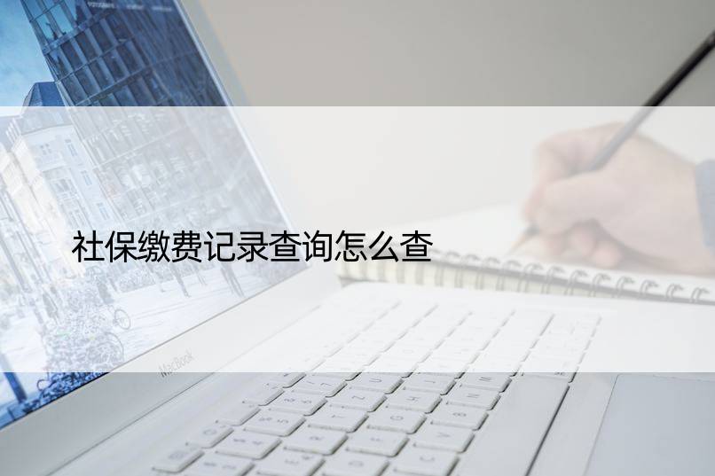 社保缴费记录查询怎么查