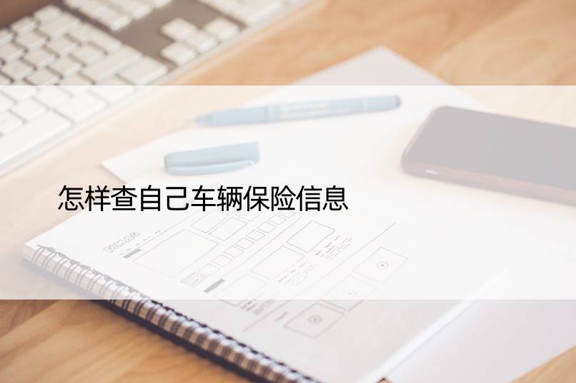 怎样查自己车辆保险信息