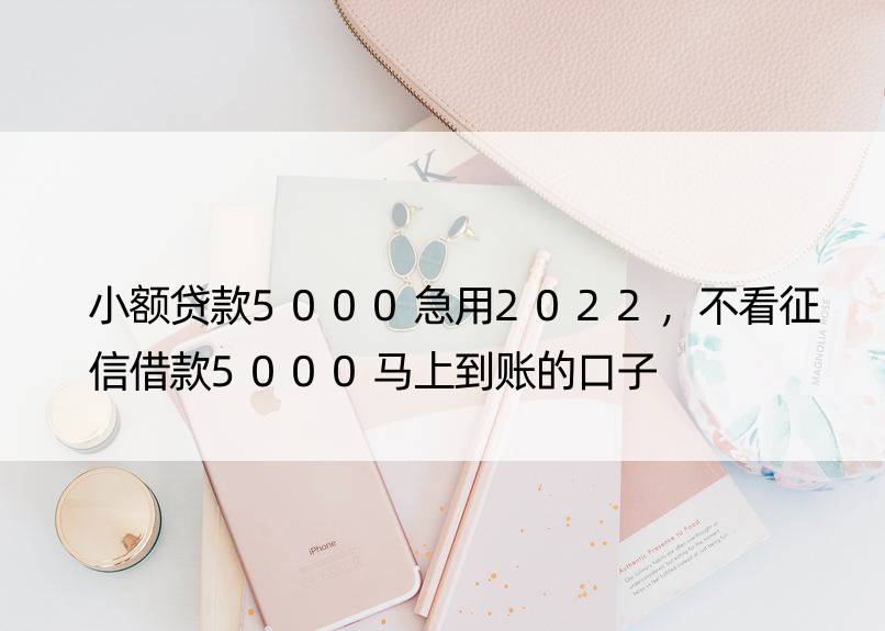 小额贷款5000急用2022，不看征信借款5000马上到账的口子