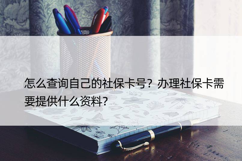 怎么查询自己的社保卡号？办理社保卡需要提供什么资料？