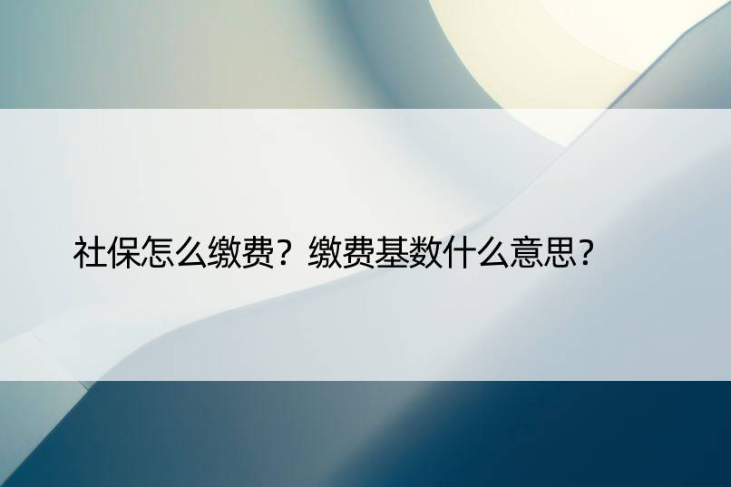 社保怎么缴费？缴费基数什么意思？