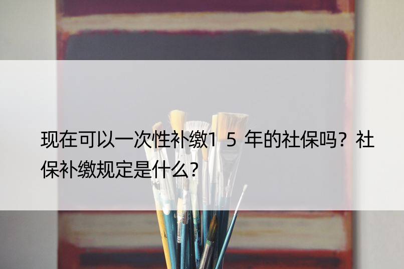 现在可以一次性补缴15年的社保吗？社保补缴规定是什么？