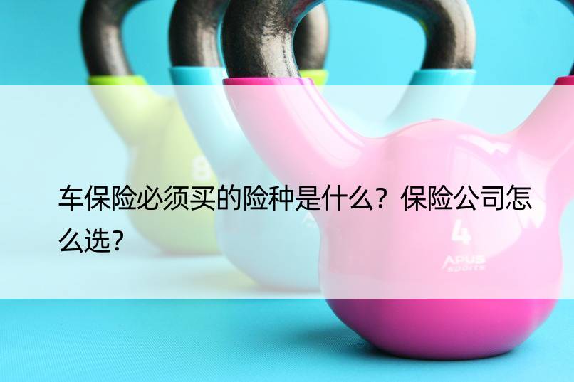 车保险必须买的险种是什么？保险公司怎么选？