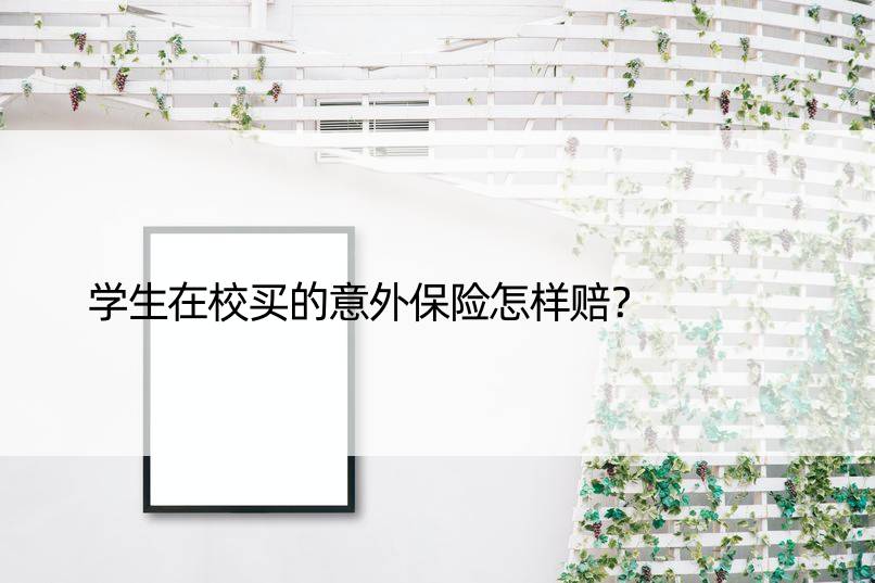 学生在校买的意外保险怎样赔？