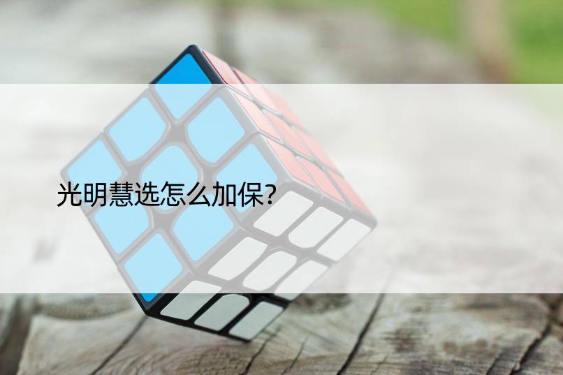 光明慧选怎么加保？