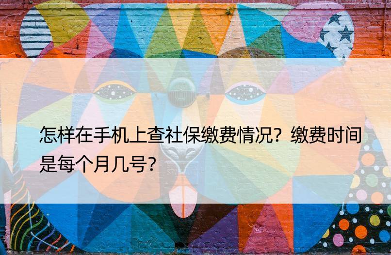 怎样在手机上查社保缴费情况？缴费时间是每个月几号？