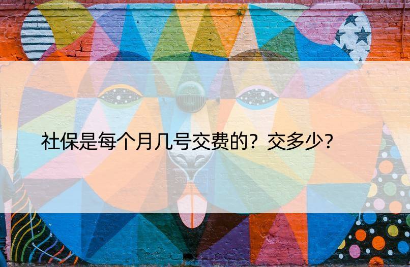 社保是每个月几号交费的？交多少？