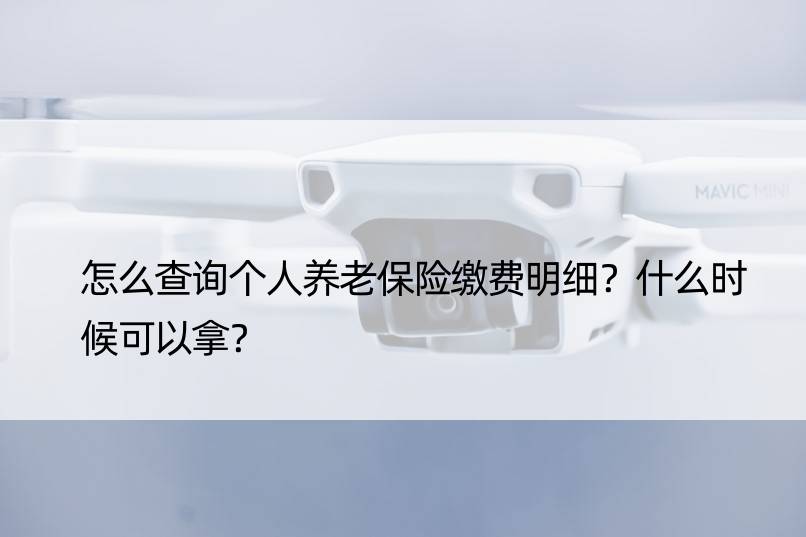 怎么查询个人养老保险缴费明细？什么时候可以拿？