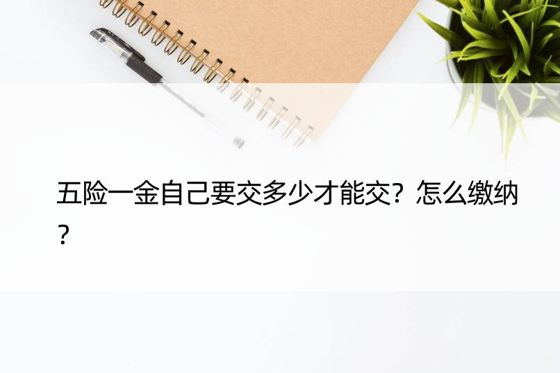 五险一金自己要交多少才能交？怎么缴纳？