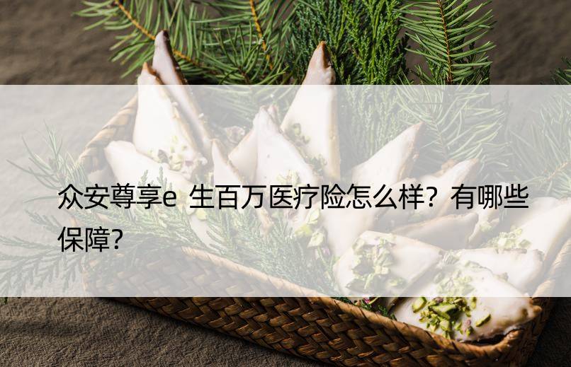 众安尊享e生百万医疗险怎么样？有哪些保障？