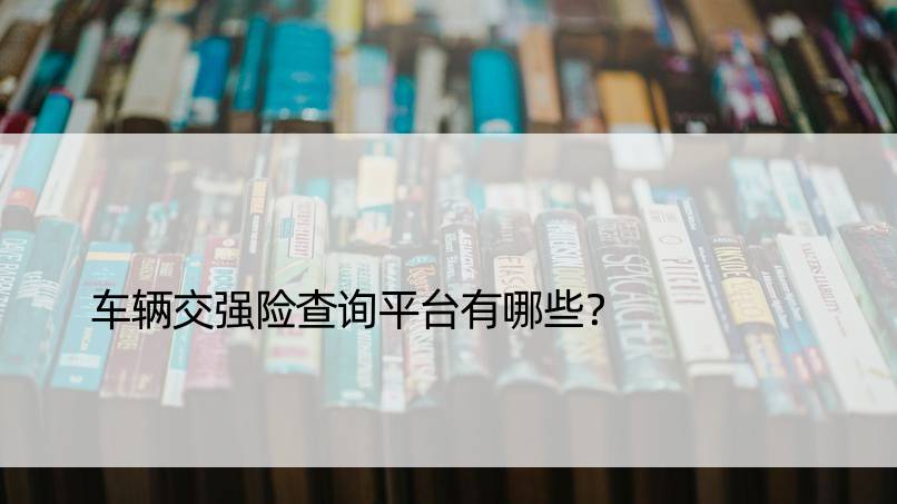 车辆交强险查询平台有哪些？