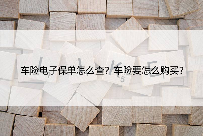 车险电子保单怎么查？车险要怎么购买？