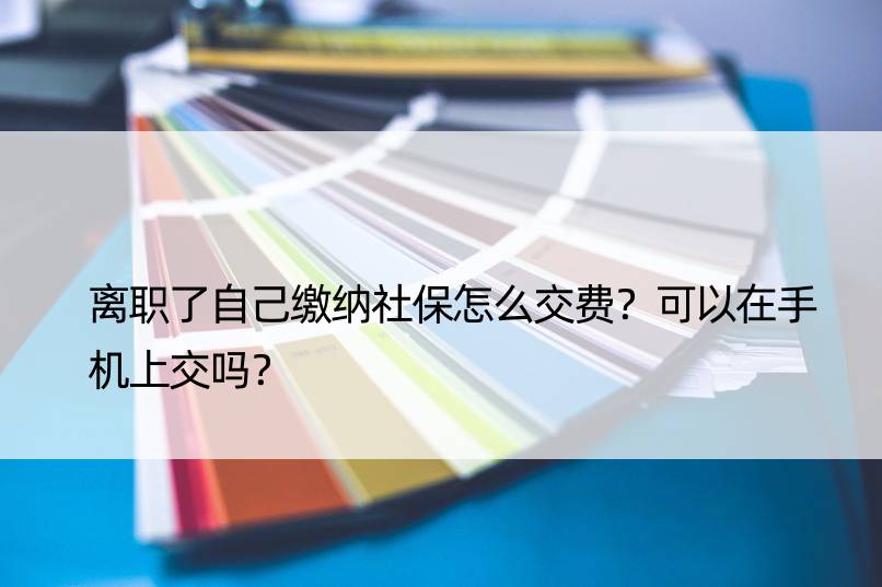 离职了自己缴纳社保怎么交费？可以在手机上交吗？