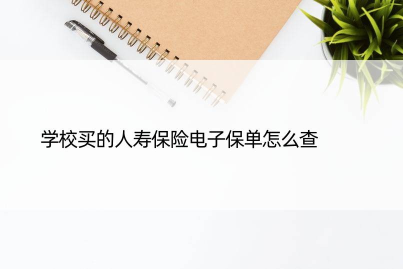 学校买的人寿保险电子保单怎么查