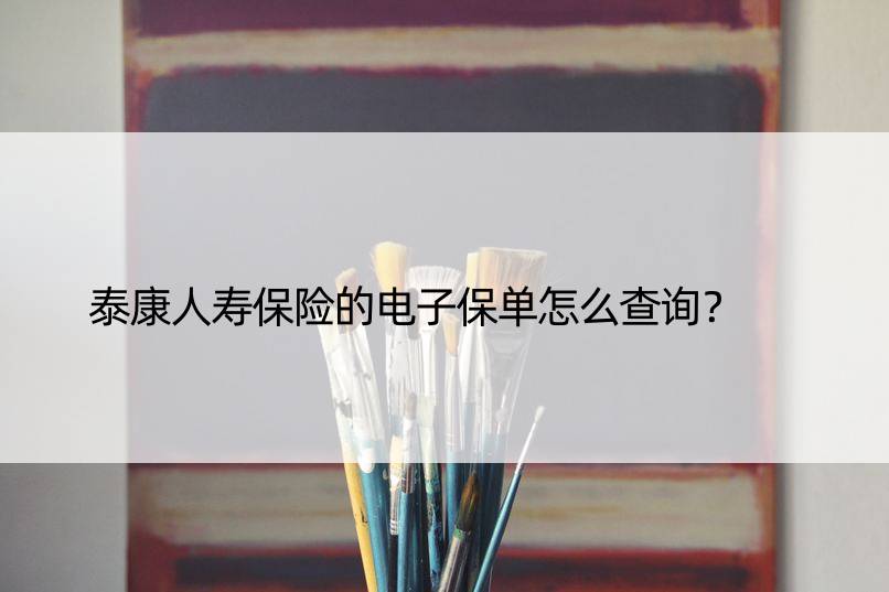 泰康人寿保险的电子保单怎么查询？