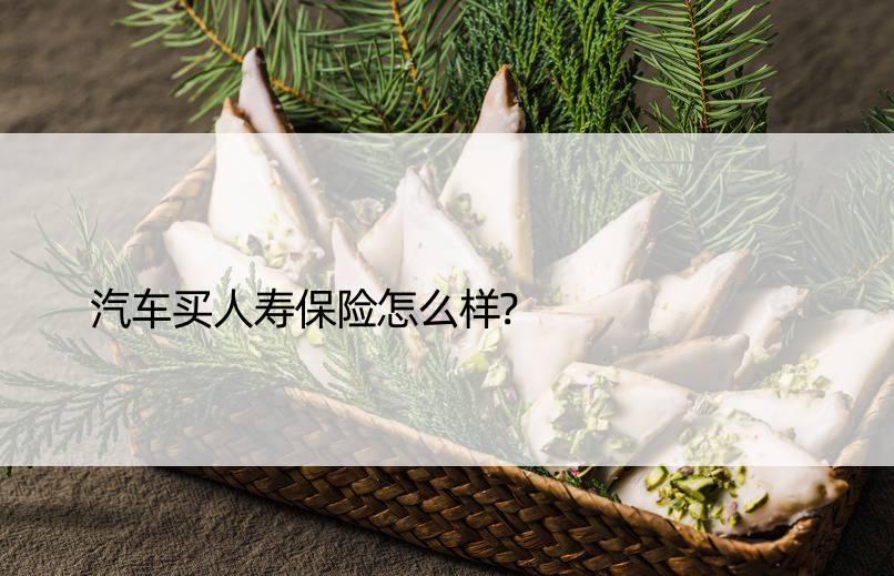 汽车买人寿保险怎么样?