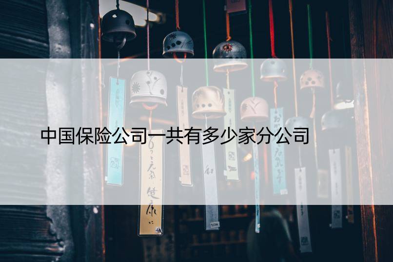 中国保险公司一共有多少家分公司