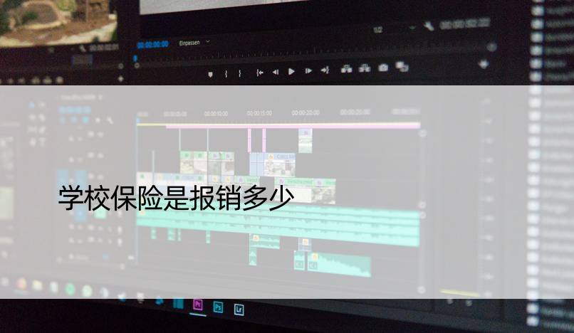 学校保险是报销多少
