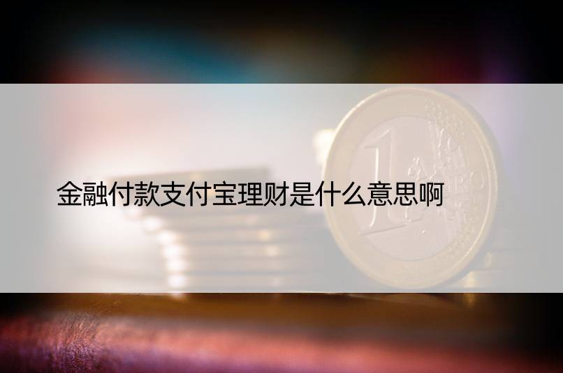 金融付款支付宝理财是什么意思啊