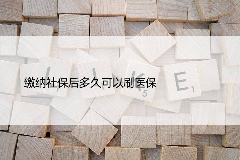 缴纳社保后多久可以刷医保