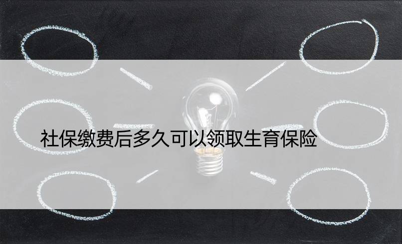 社保缴费后多久可以领取生育保险