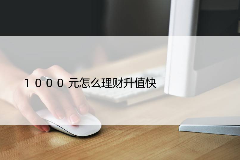 1000元怎么理财升值快