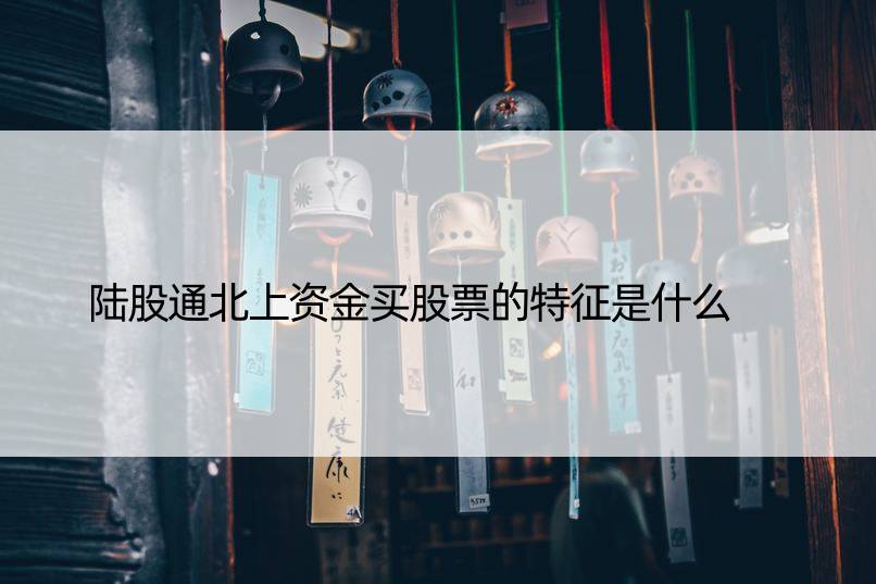 陆股通北上资金买股票的特征是什么