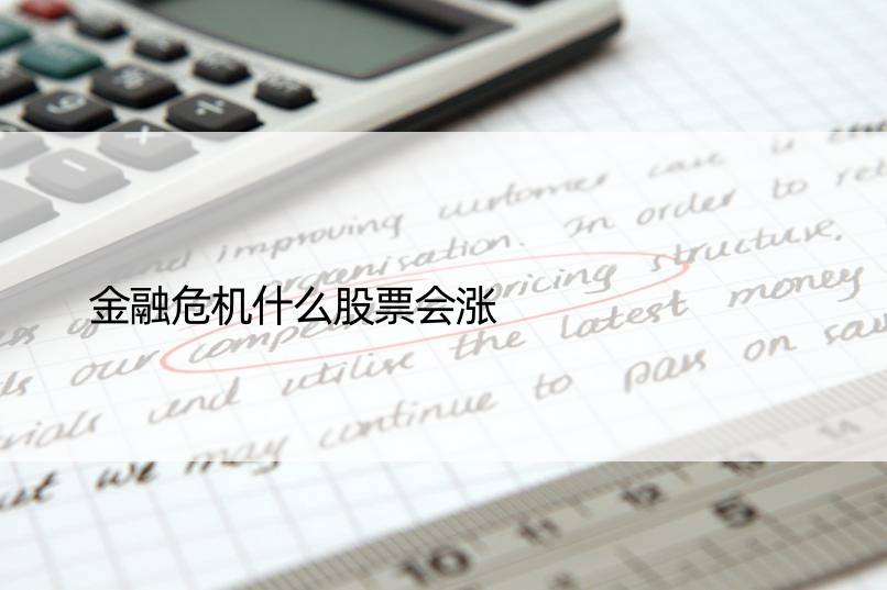 金融危机什么股票会涨