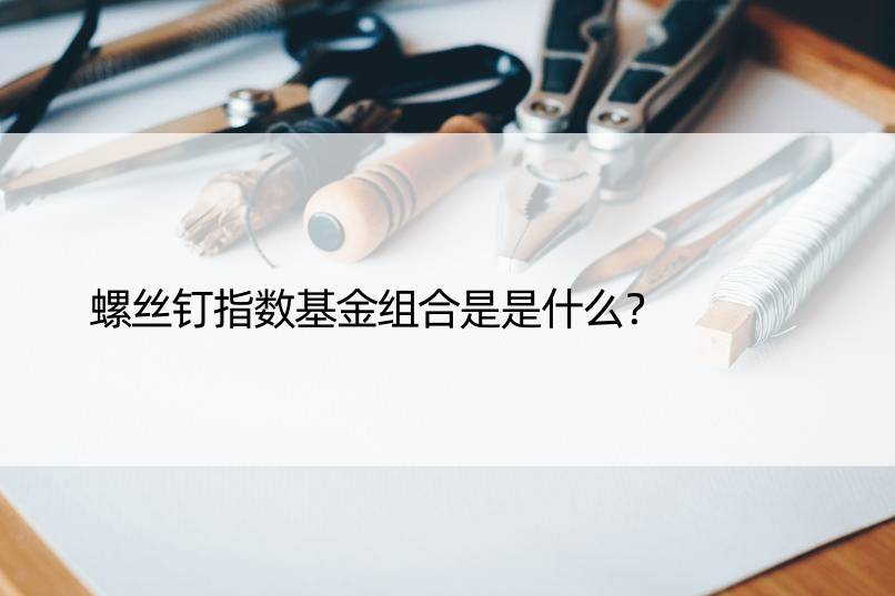 螺丝钉指数基金组合是是什么？