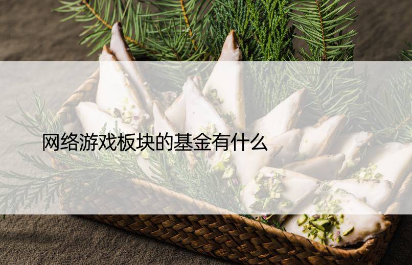 网络游戏板块的基金有什么