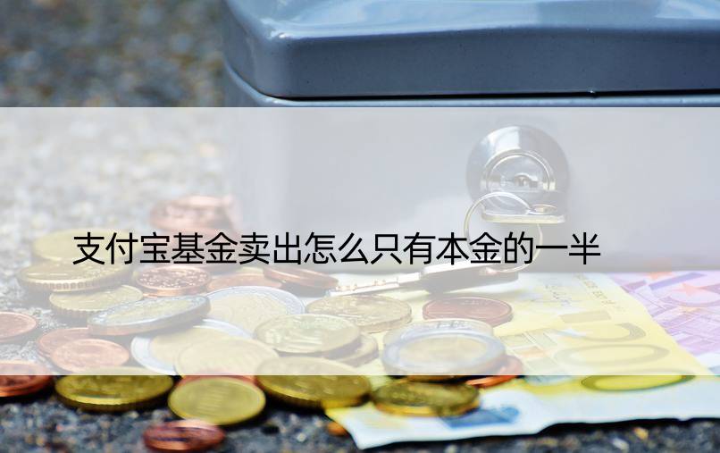 支付宝基金卖出怎么只有本金的一半