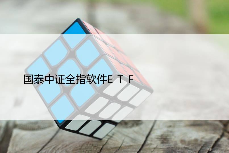 国泰中证全指软件ETF