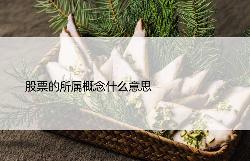 股票的所属概念什么意思