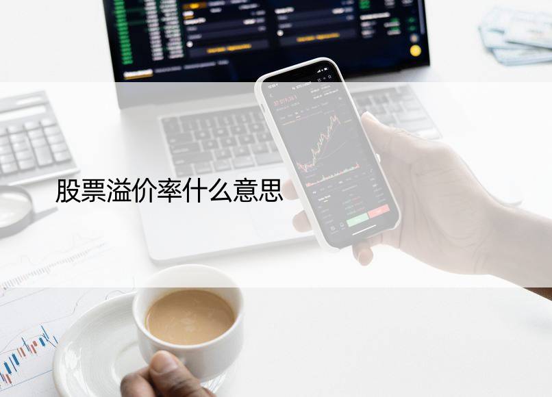 股票溢价率什么意思