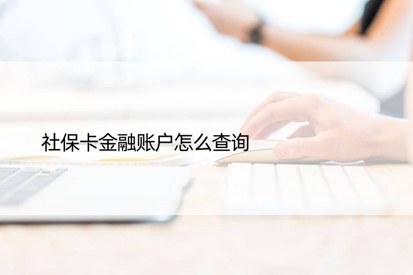 社保卡金融账户怎么查询