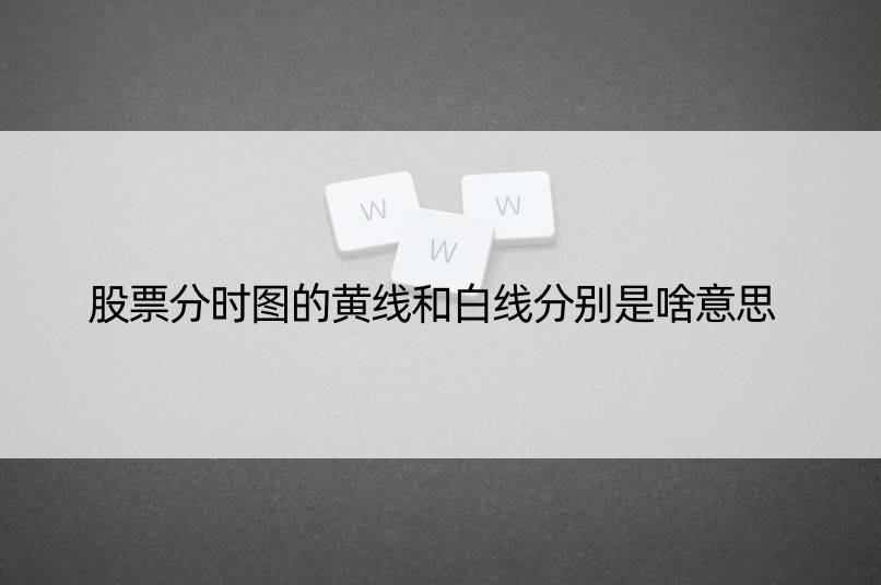 股票分时图的黄线和白线分别是啥意思