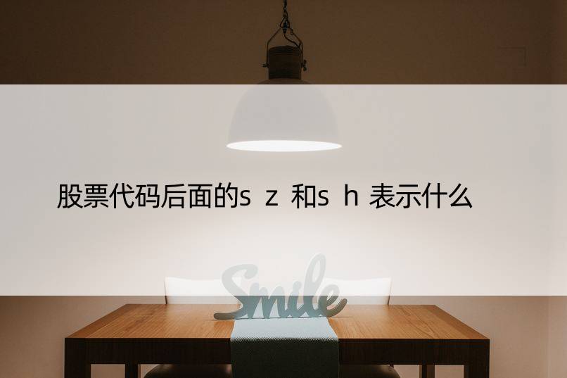 股票代码后面的sz和sh表示什么